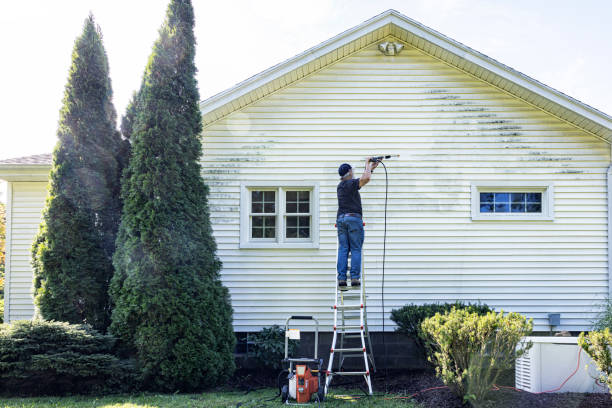 Best Roof Washing  in North Charleroi, PA